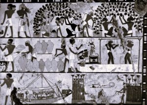 083124-09-Alcohol-Egypt