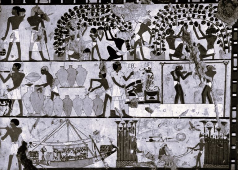 Drink and Cure: Medicinal Power in Ancient Egyptian Herbal Wines 9 083124-09-Alcohol-Egypt