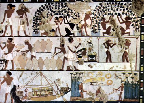 Grape cultivation, winemaking, and commerce in ancient Egypt c. 1500 BCE