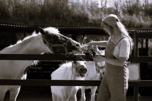 Horse Farm Maintenance: Tips for Keeping Your Property in Top Condition 12 HorseFarm-DanielKing02