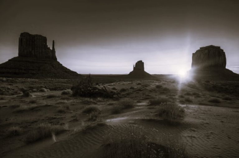 SeasonalRecovery-RomyCarlson01