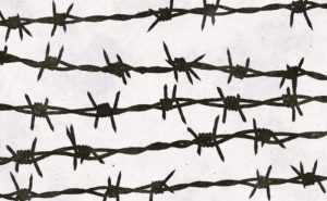 Speaking Truth about Gaza and Israel Requires More Than Academic Freedom 5 091124-03-Israel-Palestine