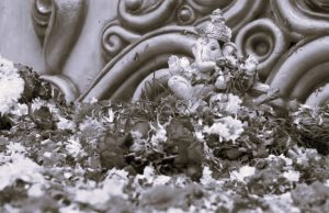 Why Some Flowers Are So Pleasing for Hindu Gods and Goddesses 12 093024-05-Hindu-Religion