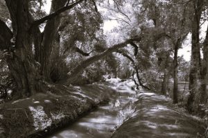 Can New Mexico's Ancient Water System Survive Climate Change? 8 100924-01-Climate-Environment