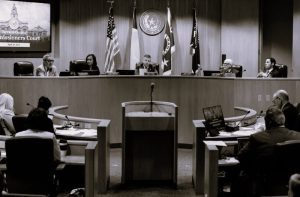 The Radical Right's Vision for Local Governing 20 101224-01-Politics