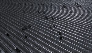 102524-21-Immigration