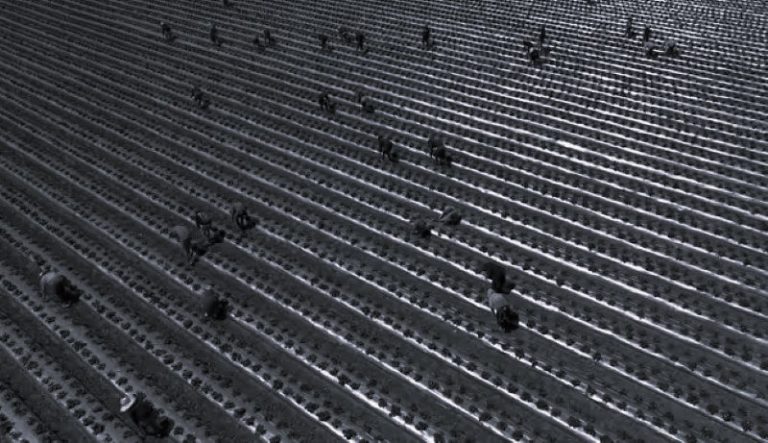 102524-21-Immigration