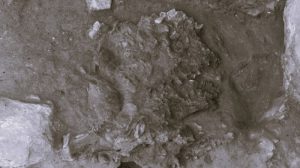 110924-10-History-Neanderthal