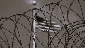 112624-10-Immigration