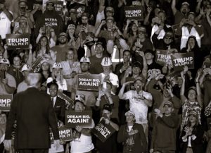 Words That Trigger Twinkletoe Trumpers 1 112824-09-Politics