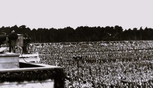 Lessons Forgotten: Understanding How Hitler Rose to Power 21 113024-24-History-Nazi