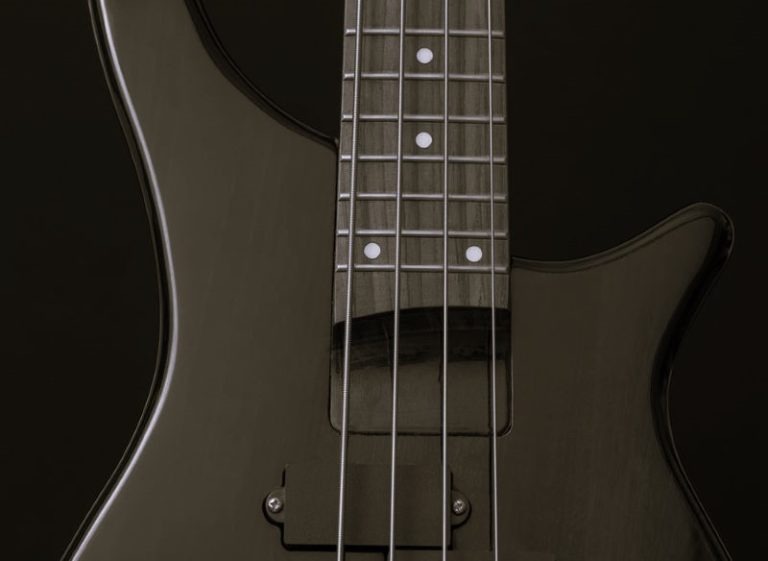 What You Should Know Before Buying a Bass Instrument 37 BassInstrument-Natalie01