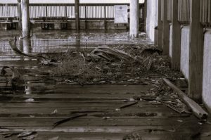 PropertyRights-Natalie01