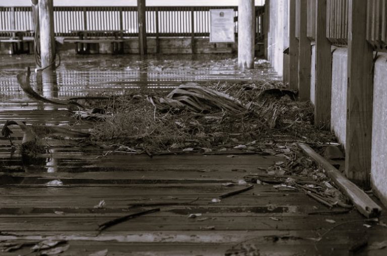 PropertyRights-Natalie01