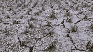 120424-19-Agriculture