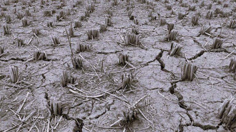 120424-19-Agriculture