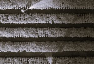 120624-14-Agriculture-Environment