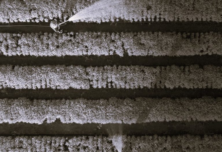 120624-14-Agriculture-Environment