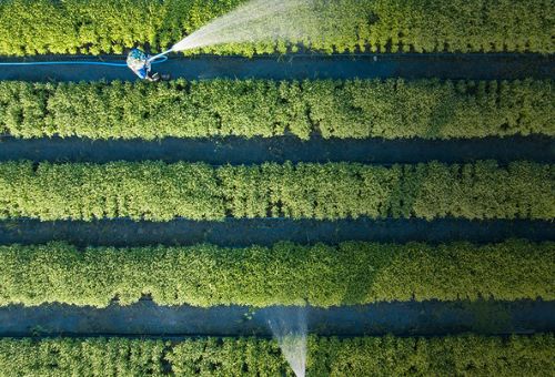 Sustained Solutions for Food and Water Systems in the Modern Intelligent Age