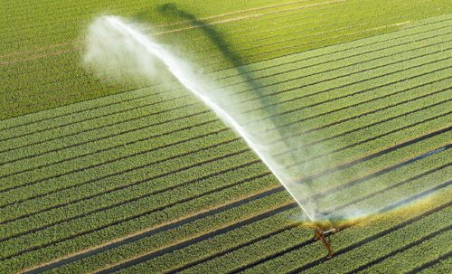 Sustained Solutions for Food and Water Systems in the Modern Intelligent Age