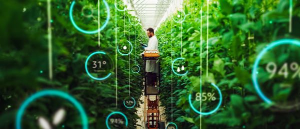 Sustained Solutions for Food and Water Systems in the Modern Intelligent Age