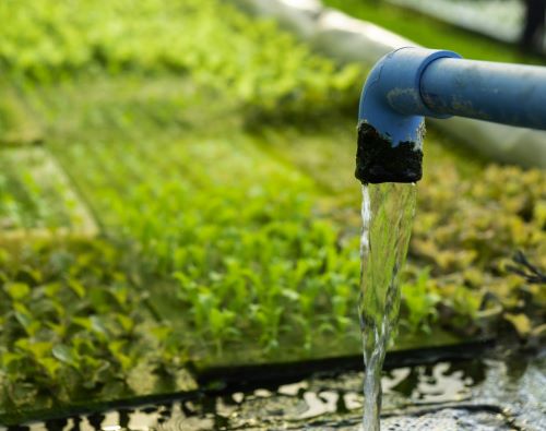 Sustained Solutions for Food and Water Systems in the Modern Intelligent Age