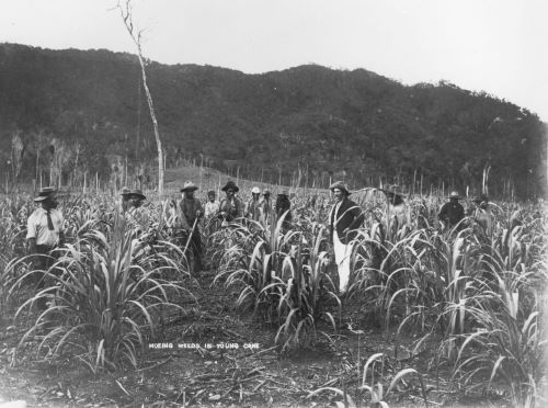 'Blackbirders' and Pacific Island Slavery in the 19th and Early 20th Centuries 5 'Blackbirders' and Pacific Island Slavery in the 19th and Early 20th Centuries