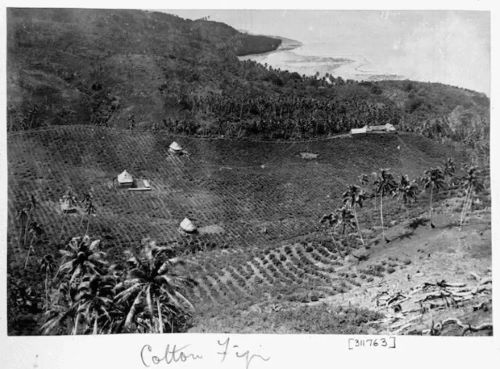 'Blackbirders' and Pacific Island Slavery in the 19th and Early 20th Centuries 6 'Blackbirders' and Pacific Island Slavery in the 19th and Early 20th Centuries