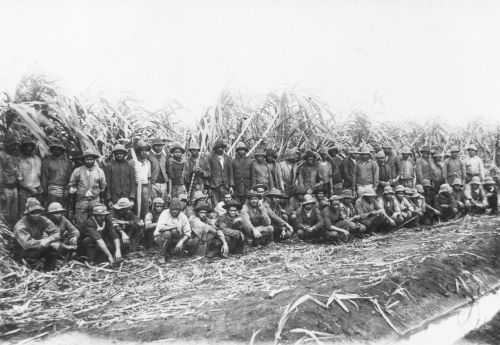 'Blackbirders' and Pacific Island Slavery in the 19th and Early 20th Centuries 7 'Blackbirders' and Pacific Island Slavery in the 19th and Early 20th Centuries