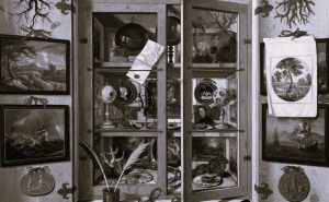 Early Modern European 'Cabinets of Curiosities' in Modern Latin American Art 16 121024-17-History