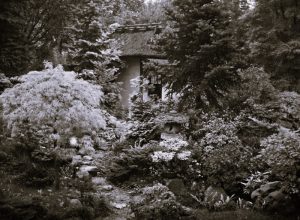 121124-18-Art-Photography