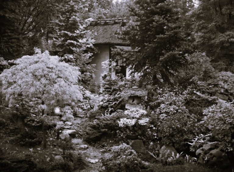 121124-18-Art-Photography