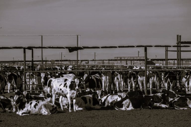 122224-23-Disease-Health