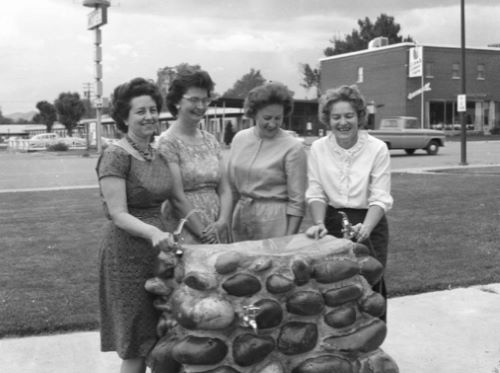 A History of Public Libraries in the United States from the 18th Century 45 Members of the "Progressive Arts Club" trying the new drinking fountain that was built near the county library as a club project, 1964