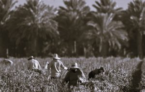 123024-03-Agriculture-Immigration