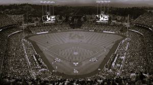 CricketBaseball-JordanGibson02