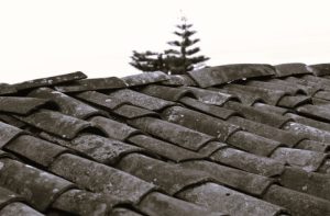 RoofInsulation-CarlaAdams02