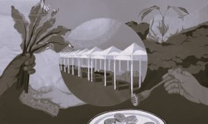 011225-50-Agriculture-Climate