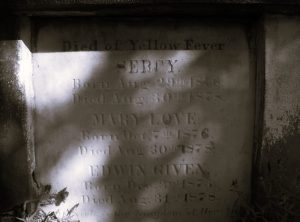 Yellow Fever Timeline: The History of a Long Misunderstood Disease 10 012725-25-Disease-History