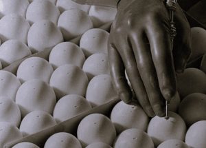 Dodging a Bird Flu Pandemic in 1957 7 020925-01-Disease-History