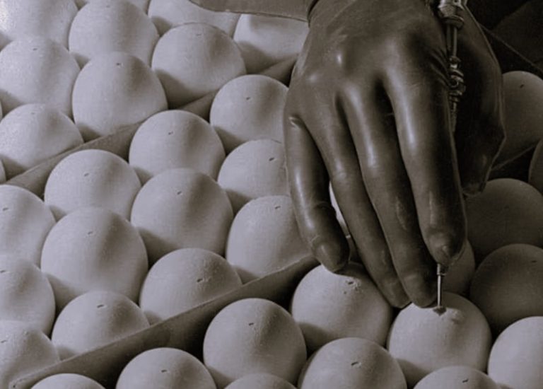 020925-01-Disease-History