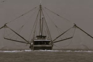 020926-20-Academic-Science