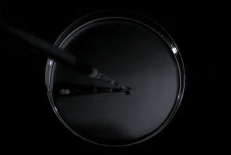 Mirror Life: A Scientific Fantasy and Possible Dangerous Reality 15 021125-09-Science