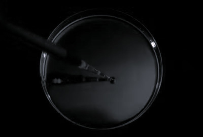 Mirror Life: A Scientific Fantasy and Possible Dangerous Reality