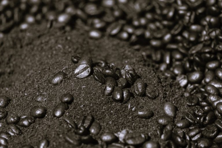 GroundCoffee-HannahGilbet02