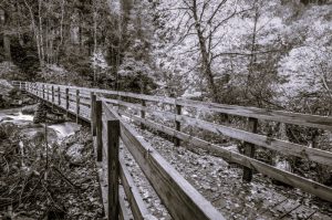 How to Balance Relaxation and Adventure on a Smoky Mountain Vacation 5 RelaxationAdventure-CarlaAdams02