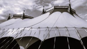 The GOP's Festival of Foolishness, Toxicity, and Conspiracy 18 030625-16-Politics