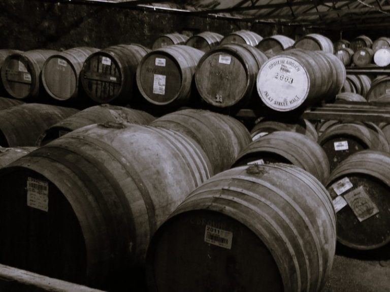 SingleGrain-Softxcess02