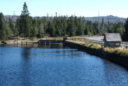 Oderteich Dam