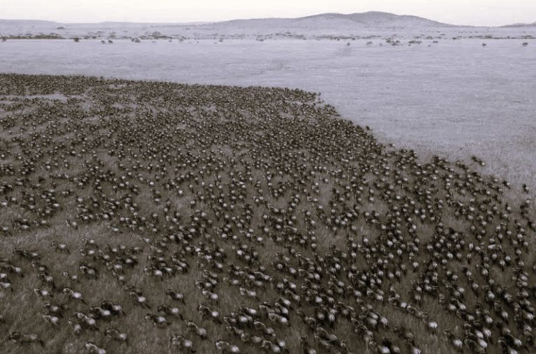 042425-04-Climate-Environment